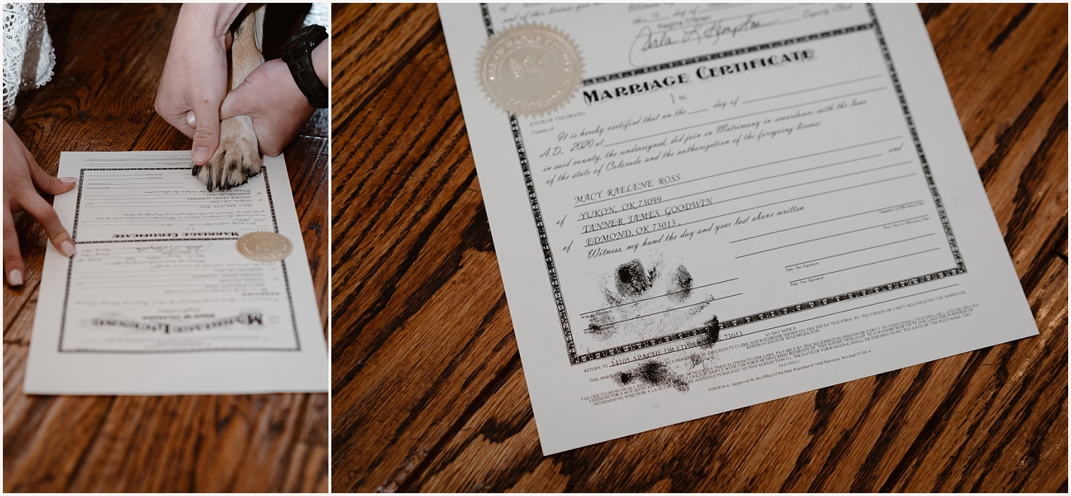 dog signs marriage license in Colorado