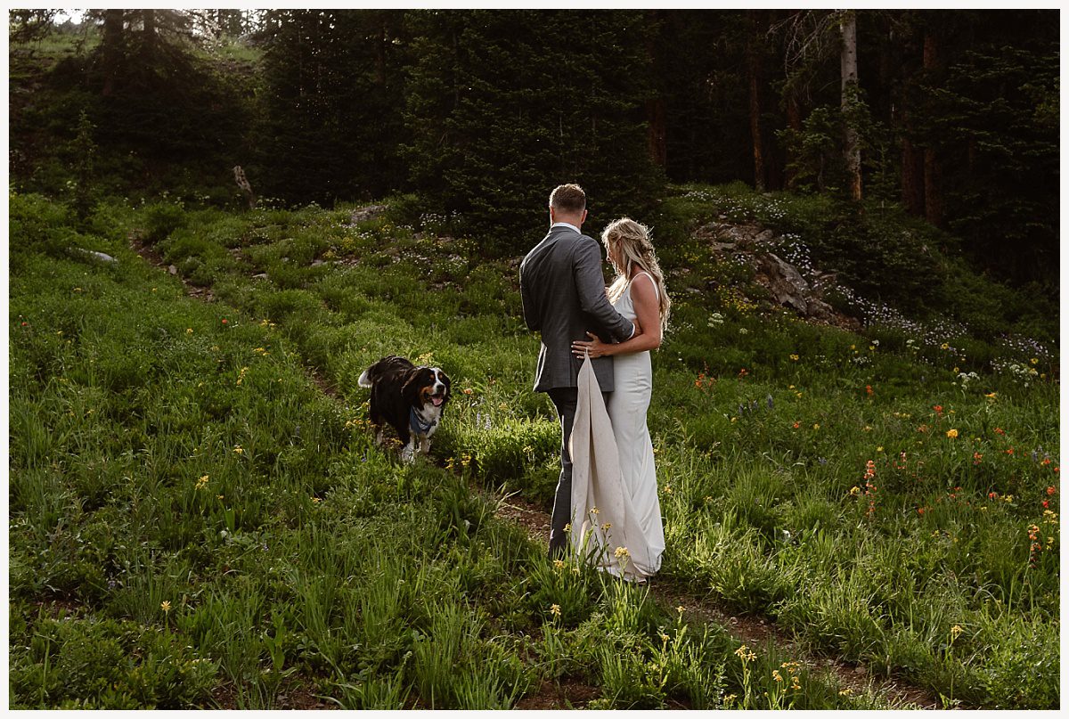 couple eloping on field withe dog, Where to elope, elopement locations, how to pick an elopement location, deciding where to elope, elopement spots, wedding ceremony locations, where to get married outside, married location, where to have elopement location